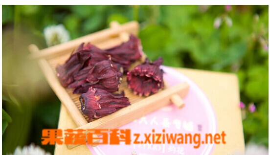 ���߰ٿ�����