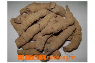 ����칦Ч������