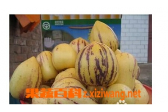 ���˲ι�����Щ��Ч������