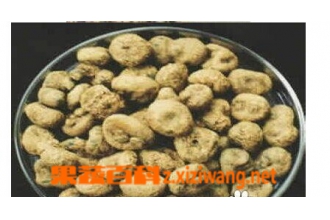 �Ӻ����Ĺ�Ч������
