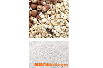 ɽҩ޲����ʵ��Ĳ��Ϻ�����