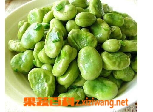 ���߰ٿƲ϶�