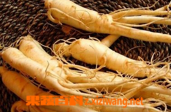 果蔬百科新鲜人参怎么保存