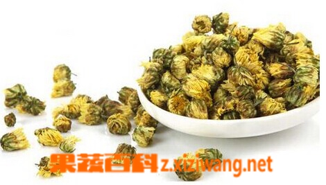 ���߰ٿ�̥�ջ�