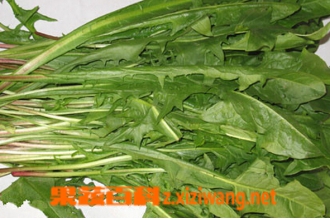 Ұ���ѹ�Ӣ�����ú͸�����