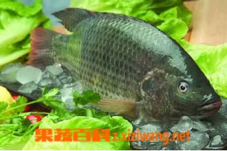 �޷����Ӫ����ֵ
