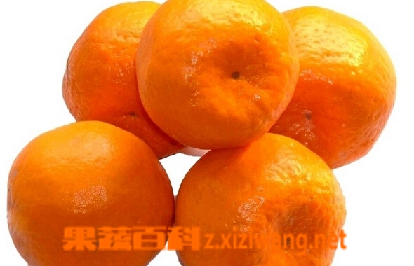 ���߰ٿ����¾��ܳԸ�����