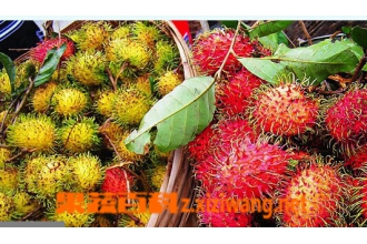 ˮ����ë����Ӫ����ֵ