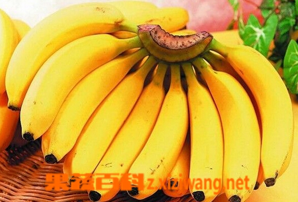 ���߰ٿ��и����㽶�ĺô�