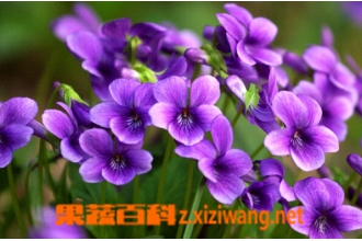 �ϻ��ض�����ˮ����