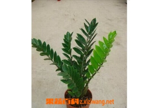 ��Ǯ������� ��Ǯ������ֳ������ע������