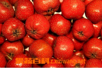 ɽ髹��Ĺ�Ч������