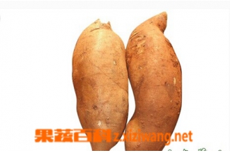 ѩ������ô�Բż���