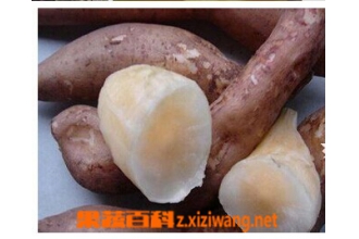 ѩ������ô�����