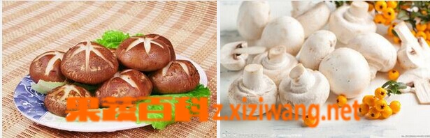 ���߰ٿ�Ģ�����㹽