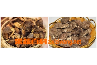 �Ը��㹽��ʲô��Ч ���㹽��Ӫ����ֵ