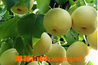 �Ͻ���Ĺ�Ч������
