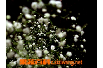 ��������ô�� �����ǵ���ֳ����