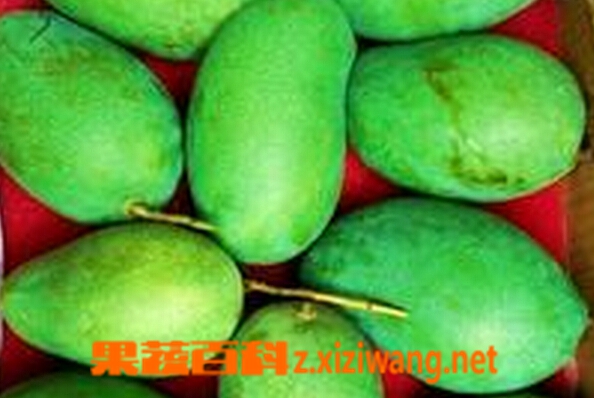 ���߰ٿƺ���â��