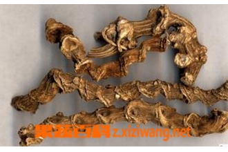 ��ڲεĹ�Ч������