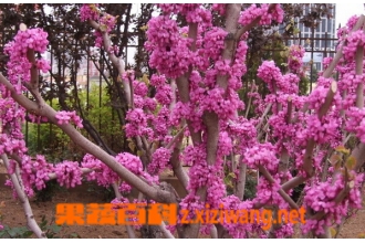 �Ͼ��Ĺ�Ч������