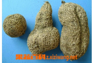 ���魵Ĺ�Ч������