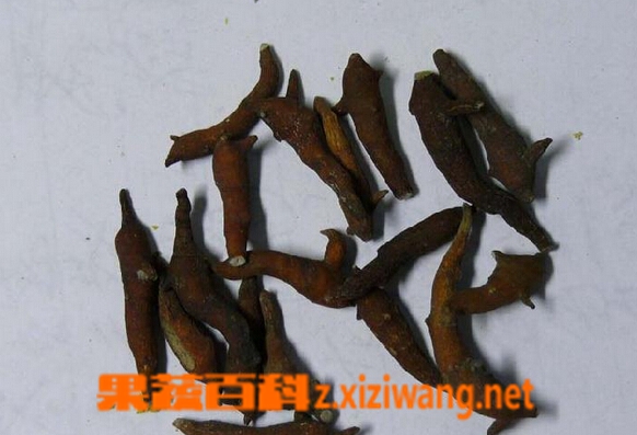 ���߰ٿ���ͷ��