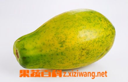 ���߰ٿ���ľ��