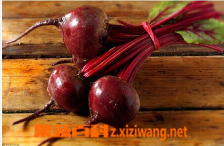甜菜根 甜菜根的功效与作用 甜菜根的营养价值 果蔬百科全说www Asqxzs Com 甜菜根 甜菜根的功效与作用 甜菜根的营养价值 果蔬百科全说www Asqxzs Com
