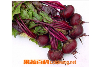 �ϲ�ͷ��Ӫ����ֵ������