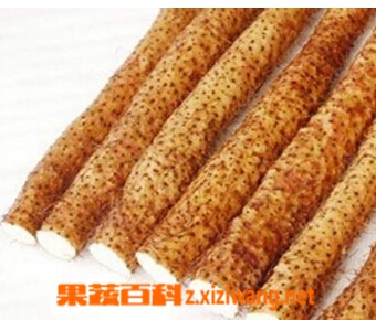 ���߰ٿƻ�ɽҩ