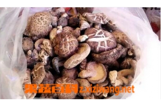 ���㹽�Ĵ��淽�� ���㹽�ı��淽��