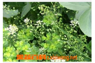 ���˻�ͼƬ ���˻��ܳ���