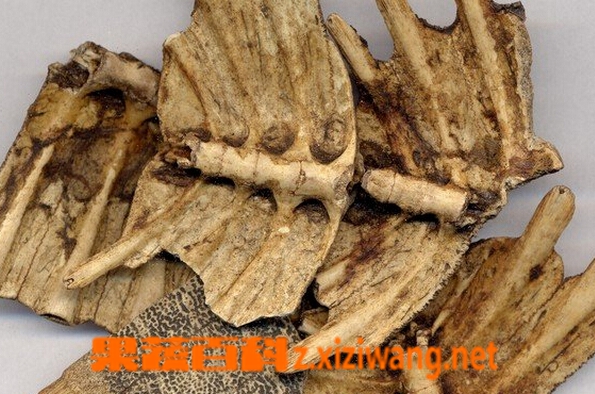 ���߰ٿƹ��