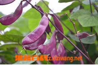 �ϱⶹ�Ĺ�Ч������