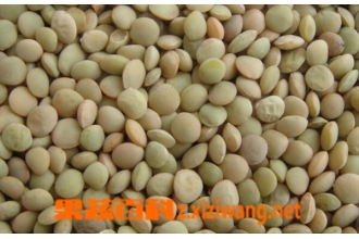 С�ⶹ�Ĺ�Ч������