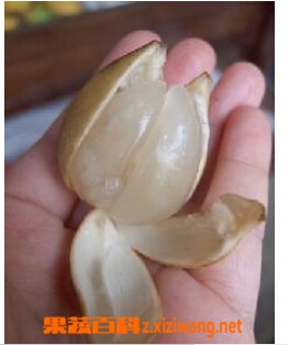 ���߰ٿƻ�Ƥ��