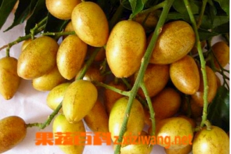 ��Ƥ���и����Գ��� �и��ɲ���