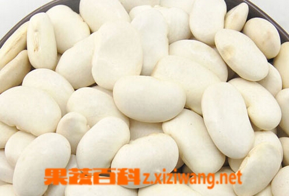 ���߰ٿư�ܿ���Ͱױⶹ������