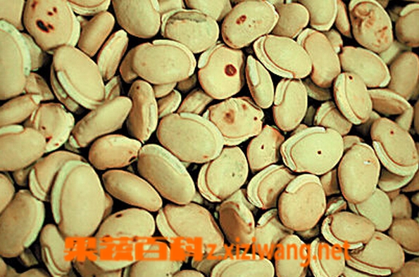 ���߰ٿ���ҩ���ױⶹ