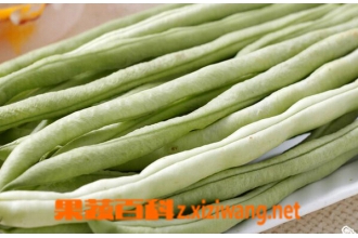 �ⶹ���ļ���������