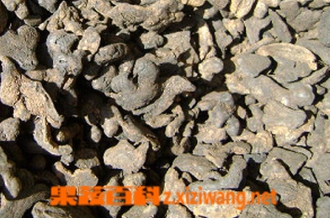 ��ҩ�ڽ�����������