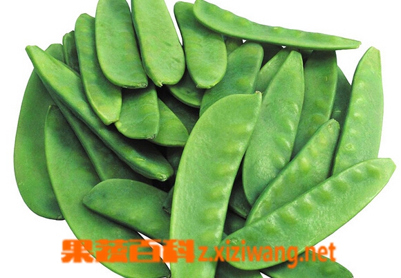 ���߰ٿƱⶹ�ඹ�ж�