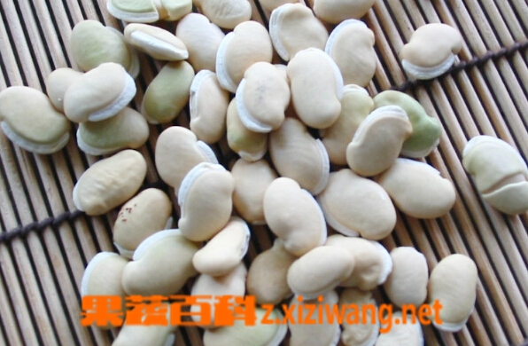 ���߰ٿưױⶹ