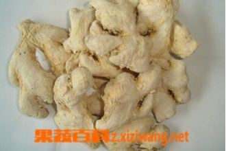 ��ҩ�ڽ��Ĺ�Ч�͸�����