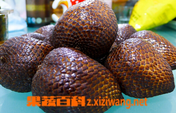 ���߰ٿ��и��ܳ���Ƥ����