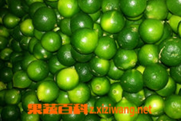 ���߰ٿ��и��ܳ��������