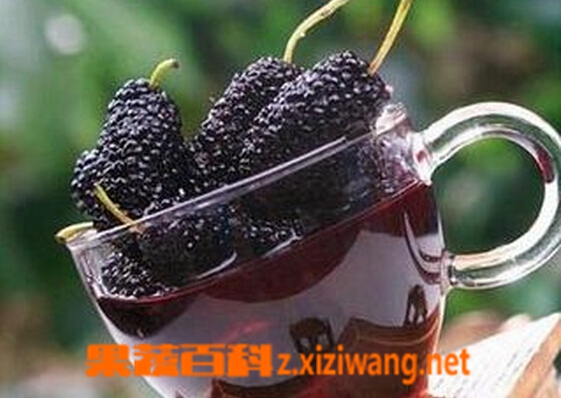 ���߰ٿ�ɣ���ݾ�