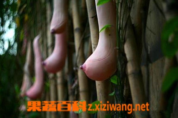 ���߰ٿ�Խ�����