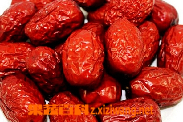 ���߰ٿƴ����